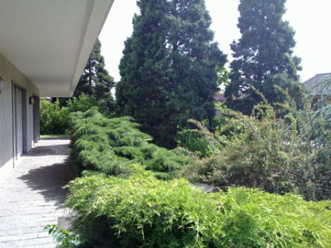 Via Mariotto, 19 - Chignolo Po