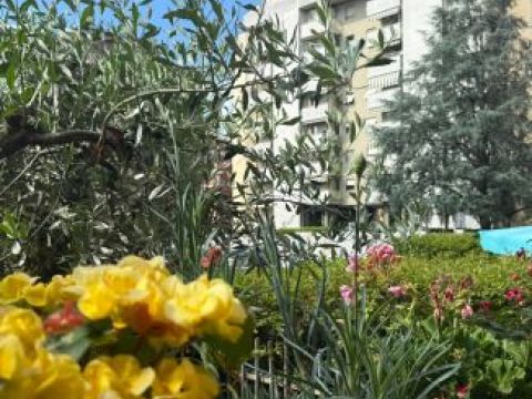 Via Timavo - Sesto San Giovanni