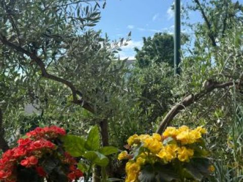 Via Timavo - Sesto San Giovanni