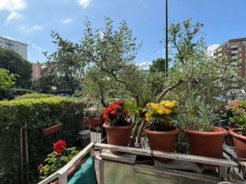 Via Timavo - Sesto San Giovanni