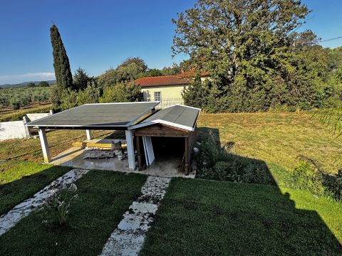 Via Vicinale Castellaro - Bibbona