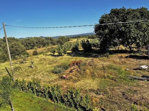Via Vicinale Castellaro - Bibbona
