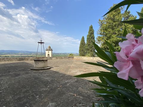 Via Alcide De Gasperi - Palaia