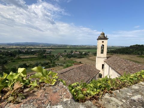 Via Alcide De Gasperi - Palaia