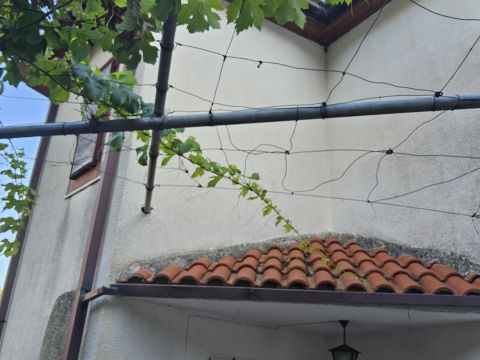 Contrada Prisdarello - Gioiosa Ionica