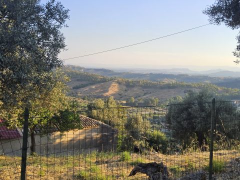 Contrada Prisdarello - Gioiosa Ionica