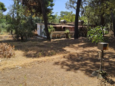 Strada Statale 106 Jonica - Casignana