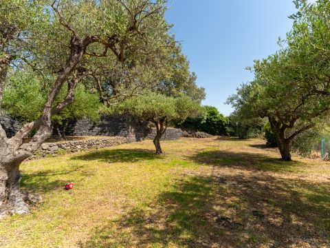 via Millicucco - Piedimonte Etneo