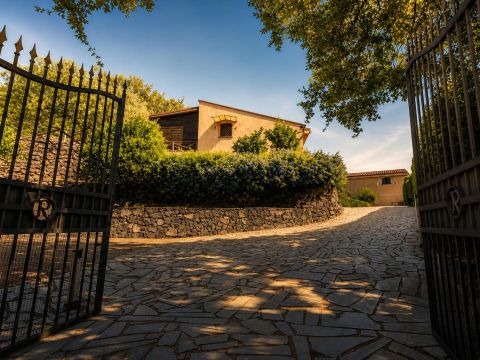 via Millicucco - Piedimonte Etneo