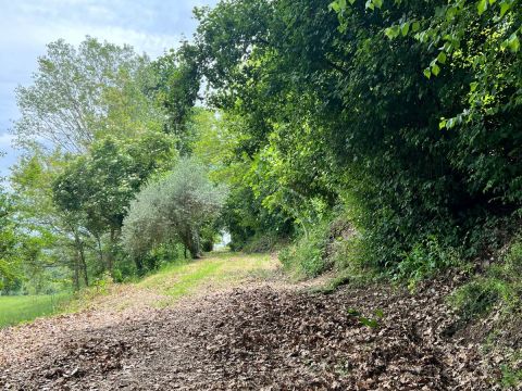 Contrada Bottaccio, 8 - Mondavio