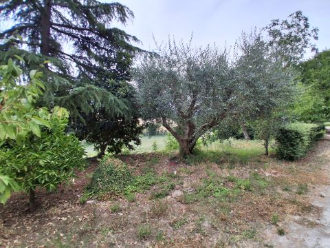 Contrada Fontevecchia, 1 - Mondavio