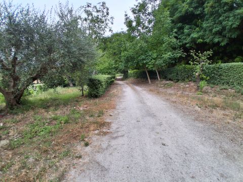 Contrada Fontevecchia, 1 - Mondavio