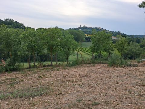 Contrada Fontevecchia, 1 - Mondavio