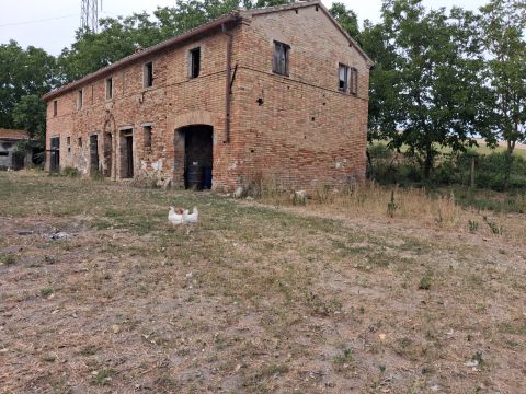 Contrada Fontevecchia, 1 - Mondavio