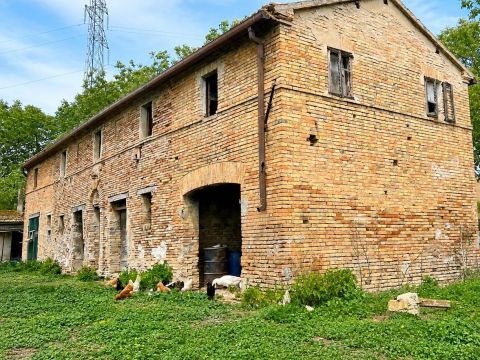 Contrada Fontevecchia, 1 - Mondavio