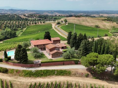 Via Cerroni - Montaione
