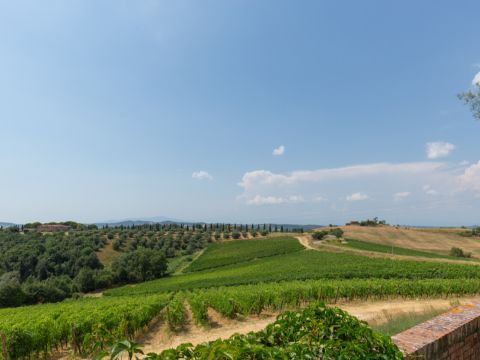 Via Cerroni - Montaione