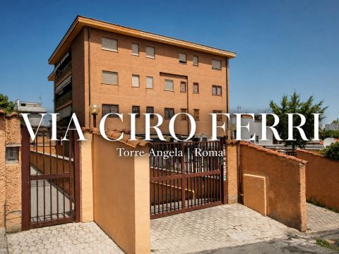 Via Ciro Ferri - Roma