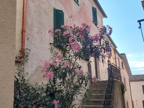Vicolo Santa Maria, 7 - Acquapendente