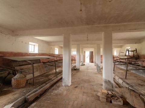 Frazione Magnadorsa - Arcevia