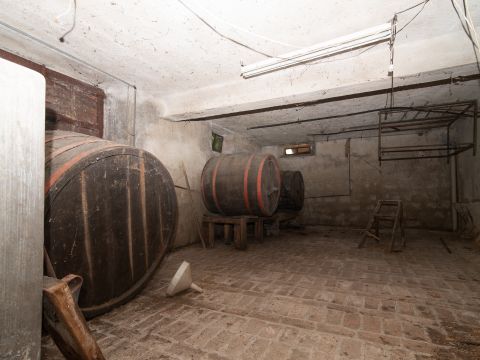 Frazione Magnadorsa - Arcevia