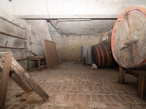 Frazione Magnadorsa - Arcevia