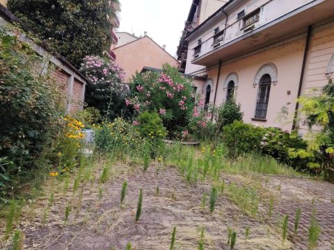 Via Palestro, 18 - Pavia