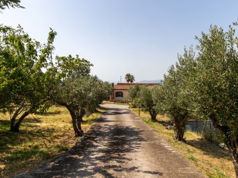 Contrada Cuturelle, 54 - Catanzaro