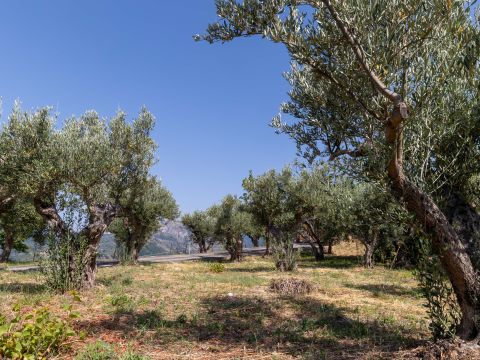 Contrada Cuturelle, 54 - Catanzaro