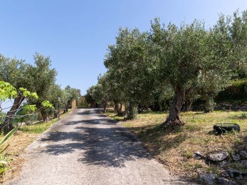 Contrada Cuturelle, 54 - Catanzaro