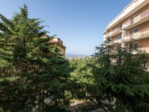 Via Leonardo Gallucci - Catanzaro