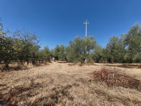 Via Sasso San Pellegrino - Viterbo