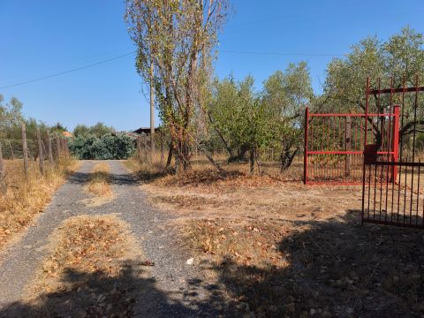 Via Sasso San Pellegrino - Viterbo