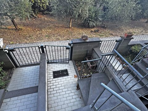 Via Carlo Ginori - Cecina