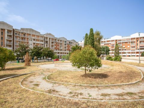 Piazza Gaspare Ambrosini, 47 - Roma