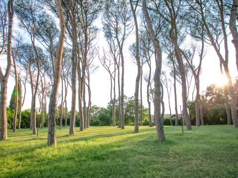 Via Cassia, 791 - Roma