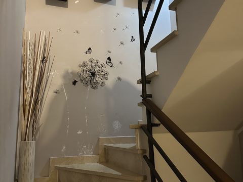 Via Don Francesco Paolo Antonelli, 17 - Miglianico