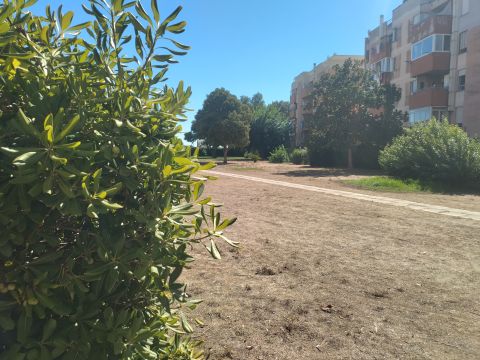 Via dei Pesci, 7 - Anzio