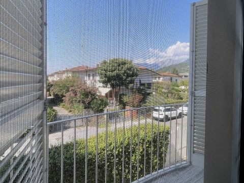 Via Serraglio, 56 - Pietrasanta