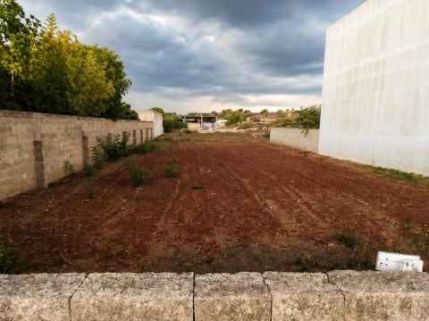 Strada Provinciale 190 - Morciano Di Leuca