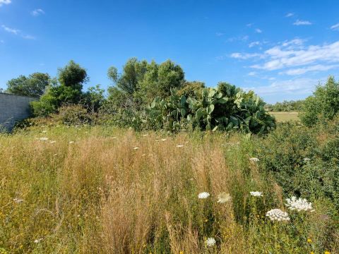 Via Pilella - Alliste