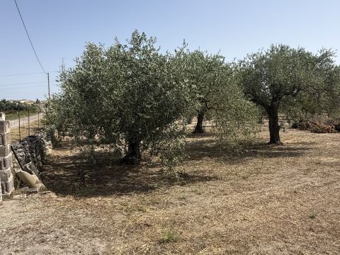 Florinas, SS, Italia - Florinas