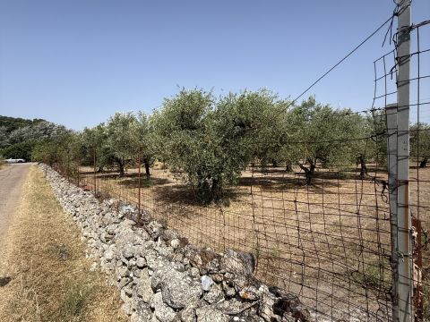 Florinas, SS, Italia - Florinas