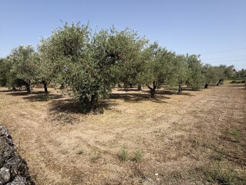 Florinas, SS, Italia - Florinas