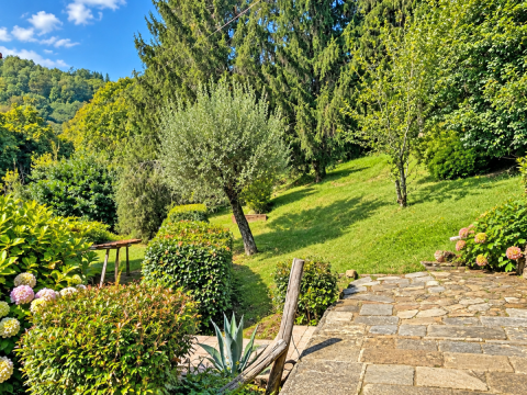 Via di Medicina - Pescia