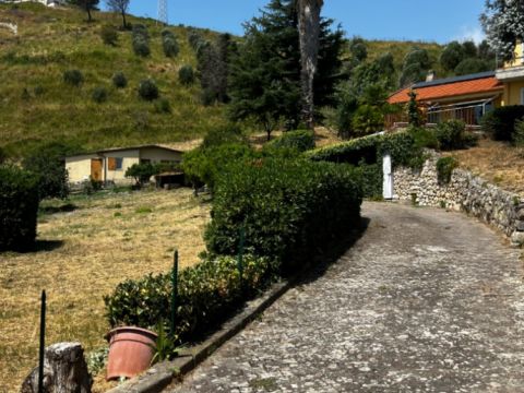 Via Leonardo di Bona, 7 - Catanzaro