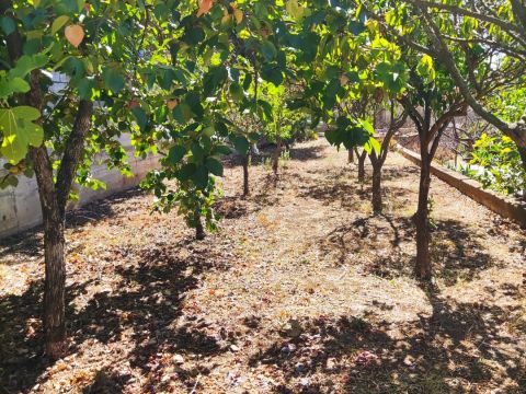 Localita Viscigliosa, 25 - Praia A Mare