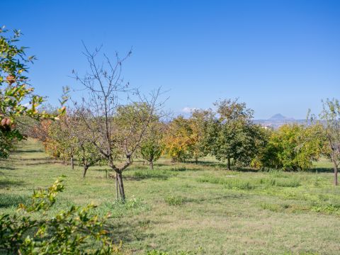 Strada Torre della Fiora, 20 - Palombara Sabina