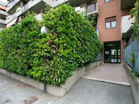 Viale della Torre di Pratolungo, 9 - Roma