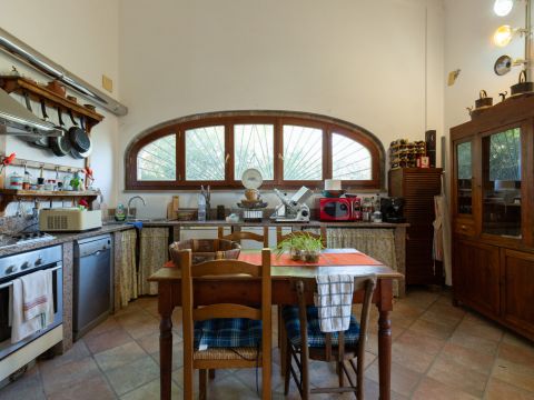 Località Le Piattaie - Rosignano Marittimo